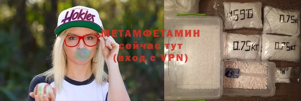 прущие грибы Бородино
