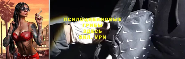 прущие грибы Бородино