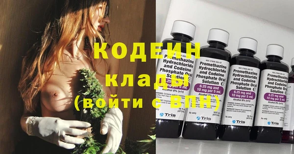 прущие грибы Бородино