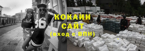 прущие грибы Бородино