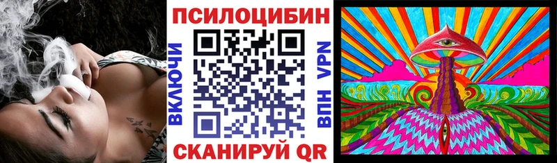 Псилоцибиновые грибы мухоморы  закладка  Северобайкальск 