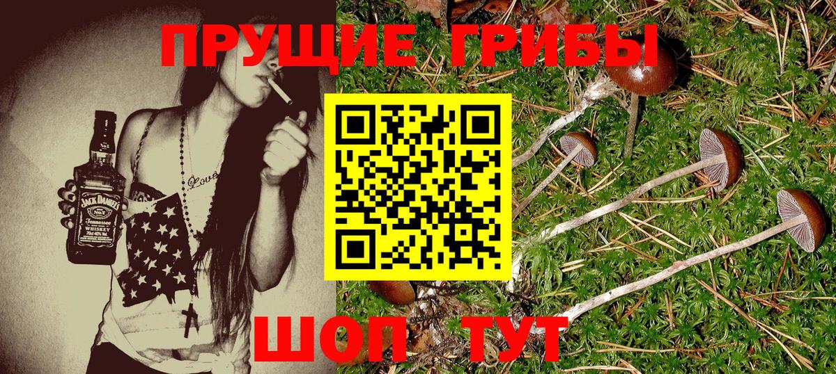 как найти наркотики  Псилоцибиновые грибы Psilocybine cubensis  Северобайкальск  Вход с VPN  Галлюциногенные грибы мицелий 
