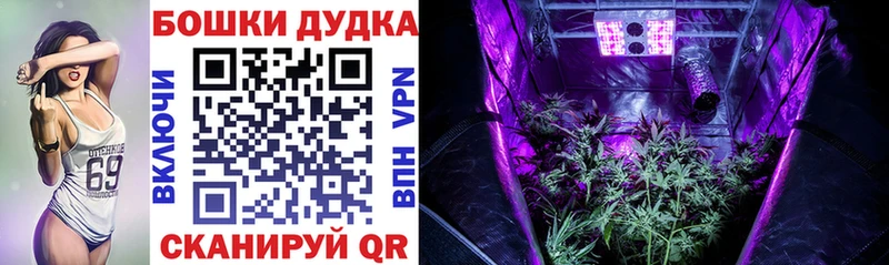 Каннабис планчик  дарнет шоп  KRAKEN   Северобайкальск 